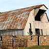 Smells of the Family Farm