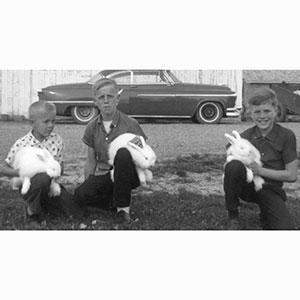 Cows and Brothers